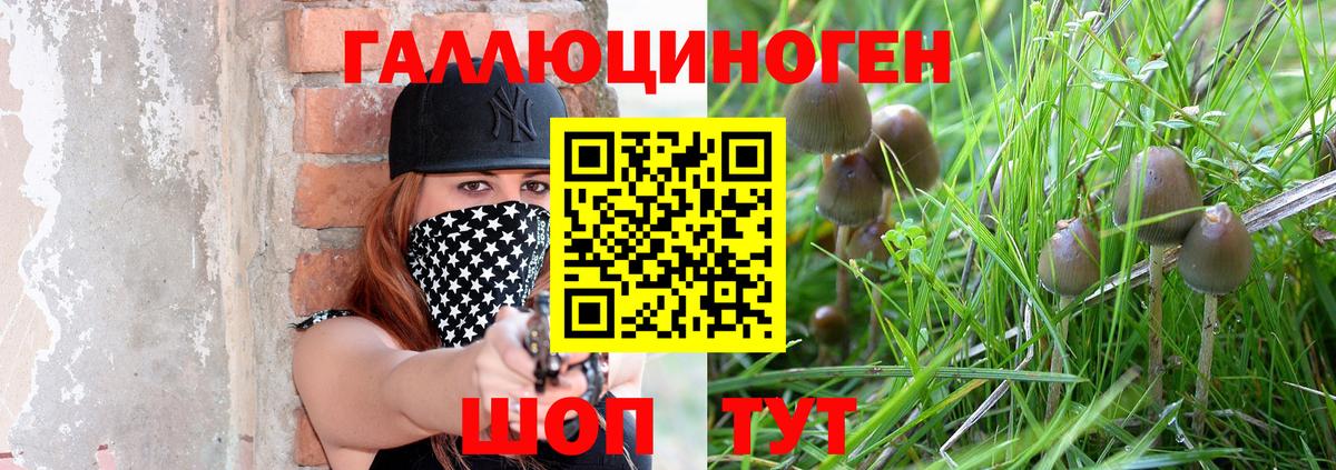 Галлюциногенные грибы Magic Shrooms Чистополь