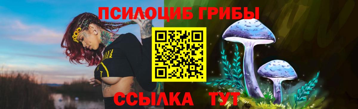 Чистополь  Псилоцибиновые грибы мицелий  Псилоцибиновые грибы ЛСД  Вход с VPN 