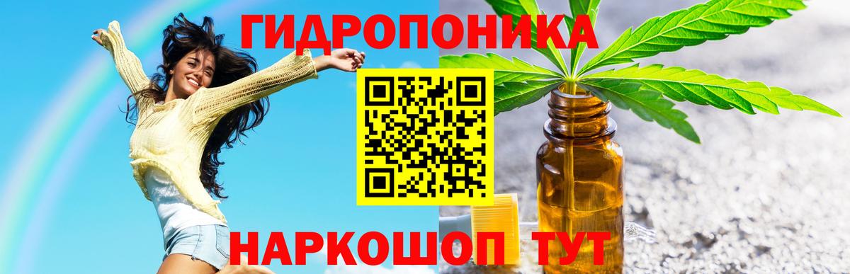 Бошки Шишки семена  Бошки Шишки OG Kush  Марихуана конопля  Вход с VPN  Чистополь 